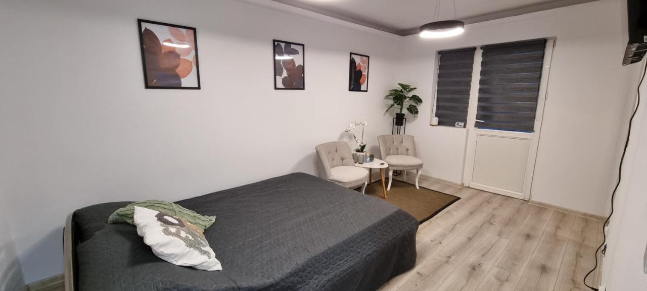 Radu'S Room Curtea De Arges Exterior photo