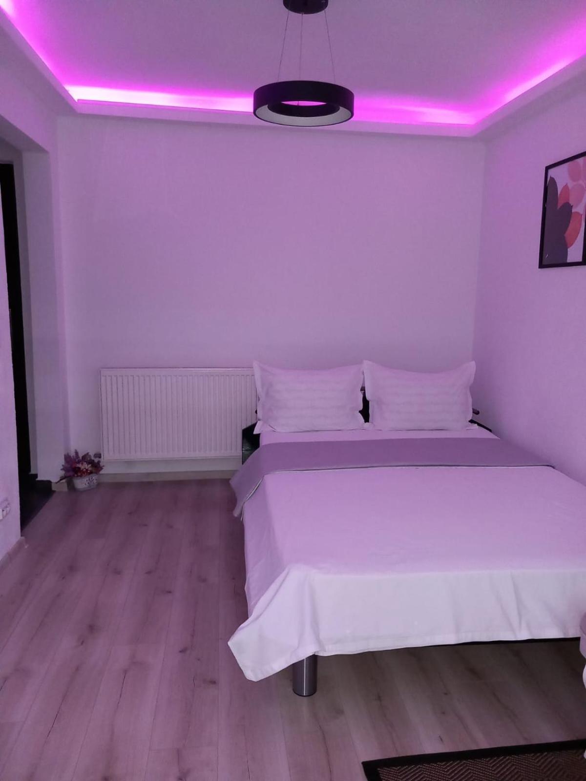 Radu'S Room Curtea De Arges Exterior photo